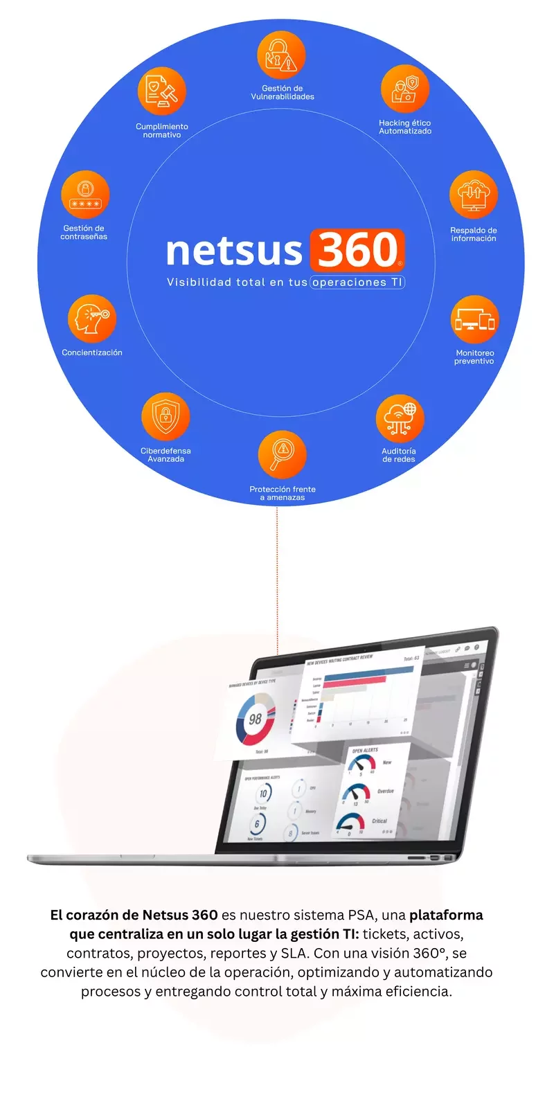 netsus 360